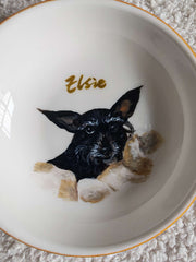 Sample 01 | Dog dish · close-up