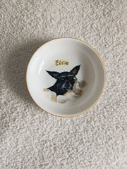 Sample 30 | Dog dish · overhead view