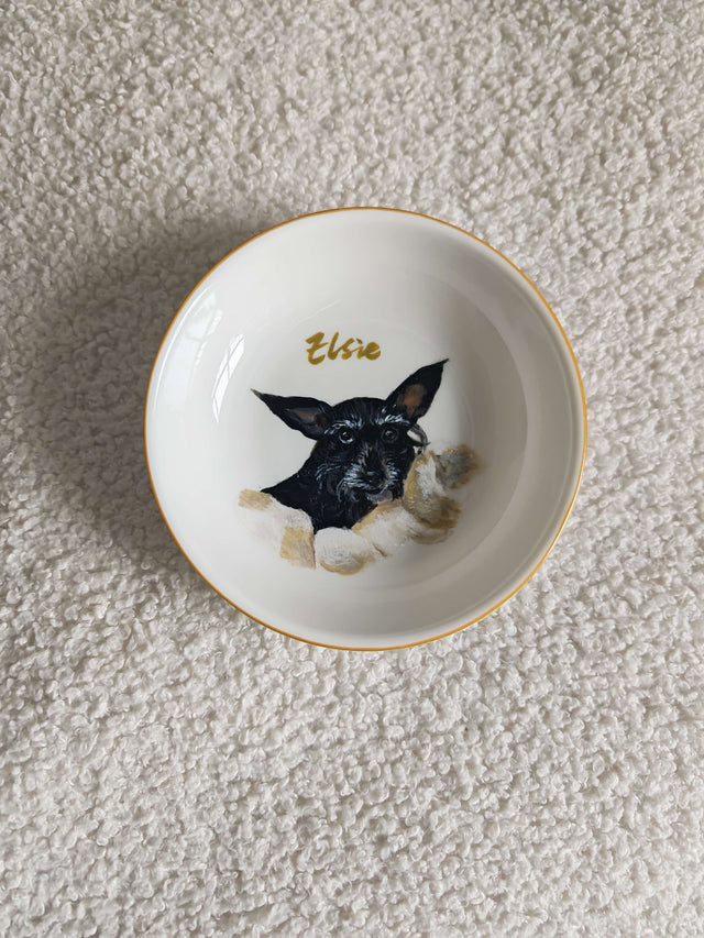 Sample 30 | Dog dish · overhead view