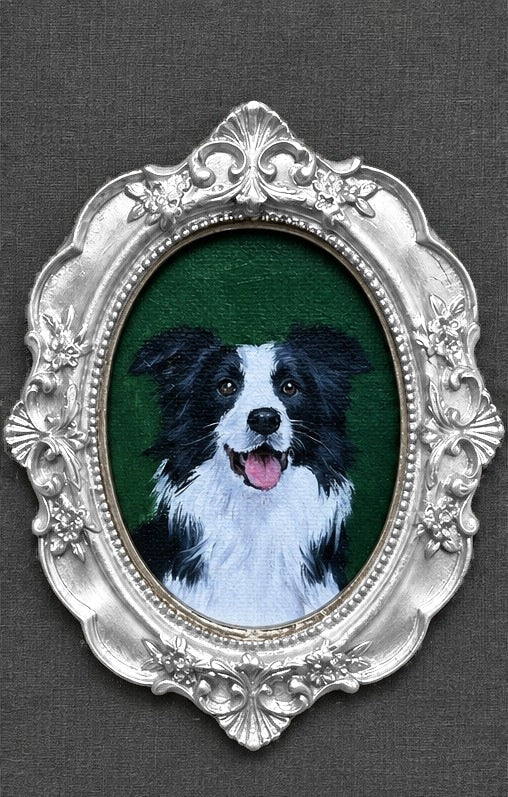 Silver frame colour illustration with a border collie portrait