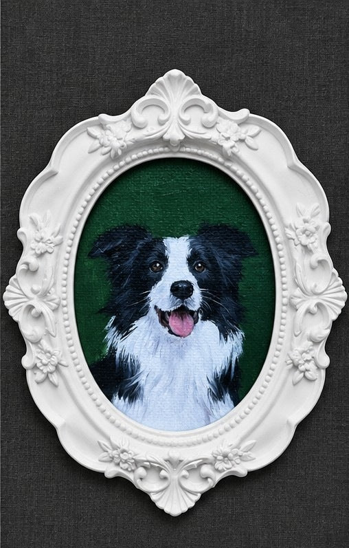 White frame colour illustration with a border collie portrait